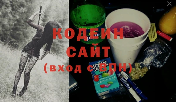 ECSTASY Алзамай